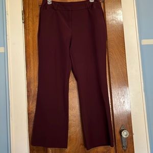 Curvy bootcut pants in Navy, Black & Malbec (wine)